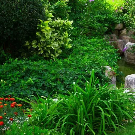 Aparthotel Garden Of Eden Panorama Sveti Vlas